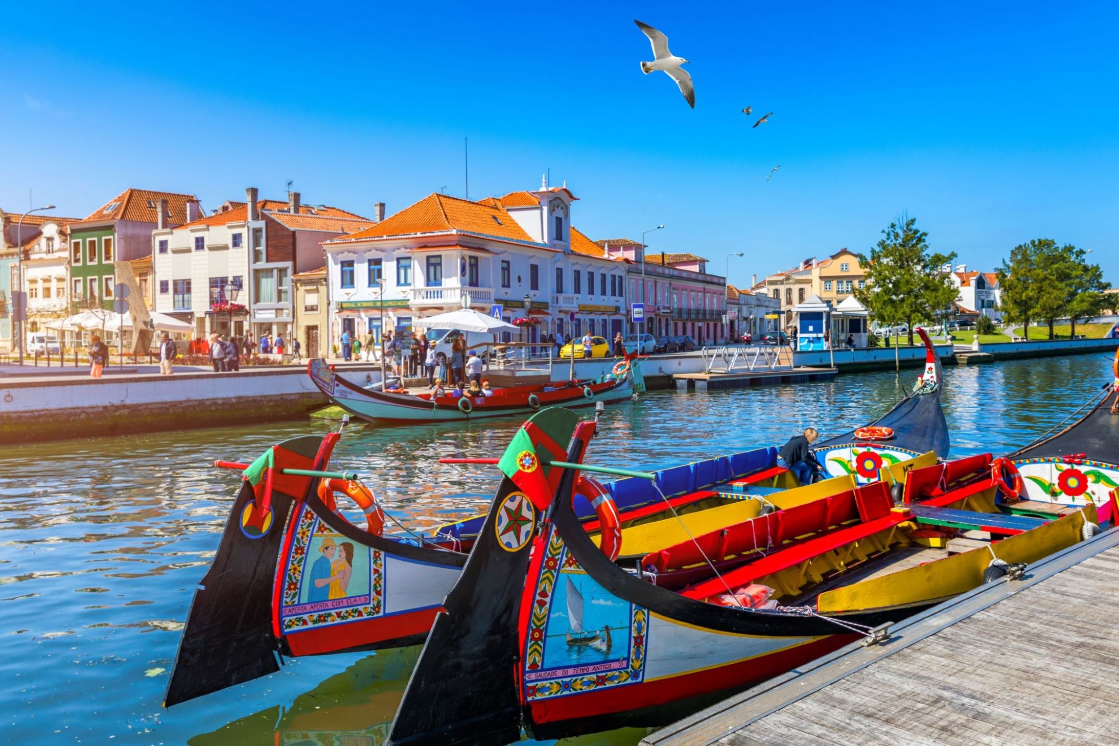 Al jate Cerca De Aveiro Con Paseo En Barco Moliceiro BuscoUnChollo
